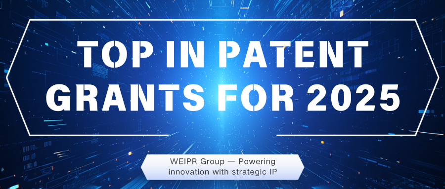 WEIPR Group: National Top 52 in Patent Grants, Hubei's Leading IP Force